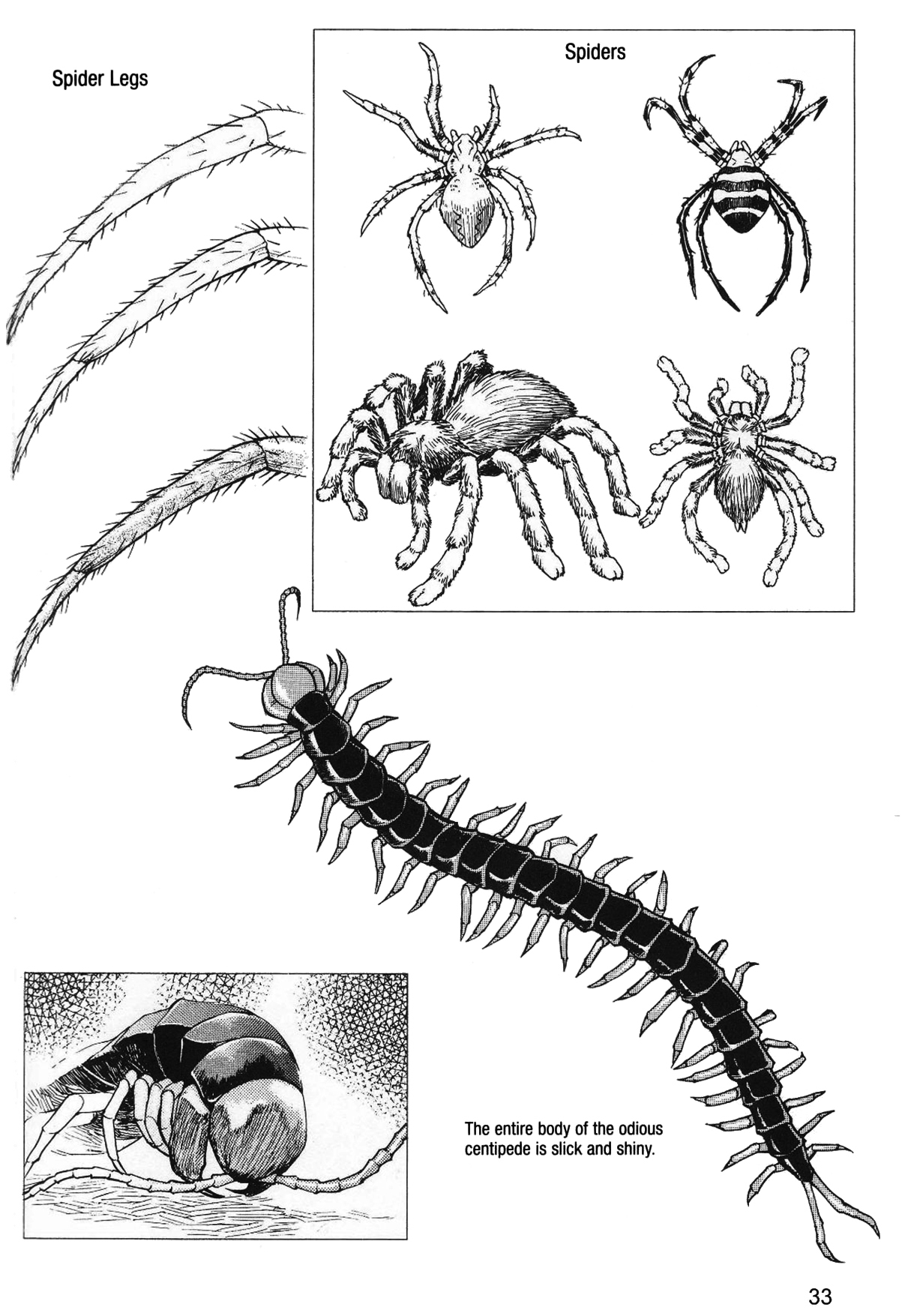 How to Draw Manga Vol. 24, Occult & Horror by Hikaru Hayashi Bildnummer 37