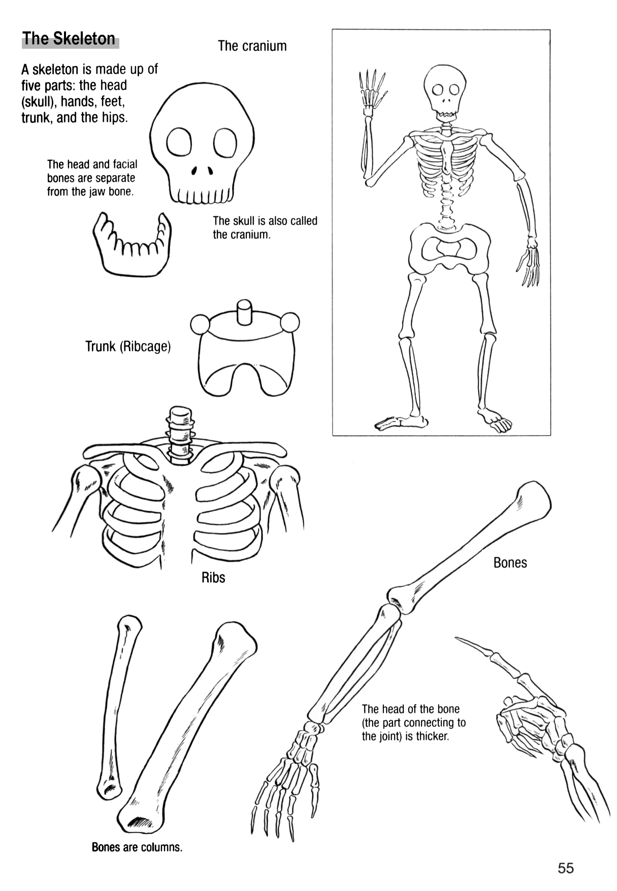 How to Draw Manga Vol. 24, Occult & Horror by Hikaru Hayashi Bildnummer 59