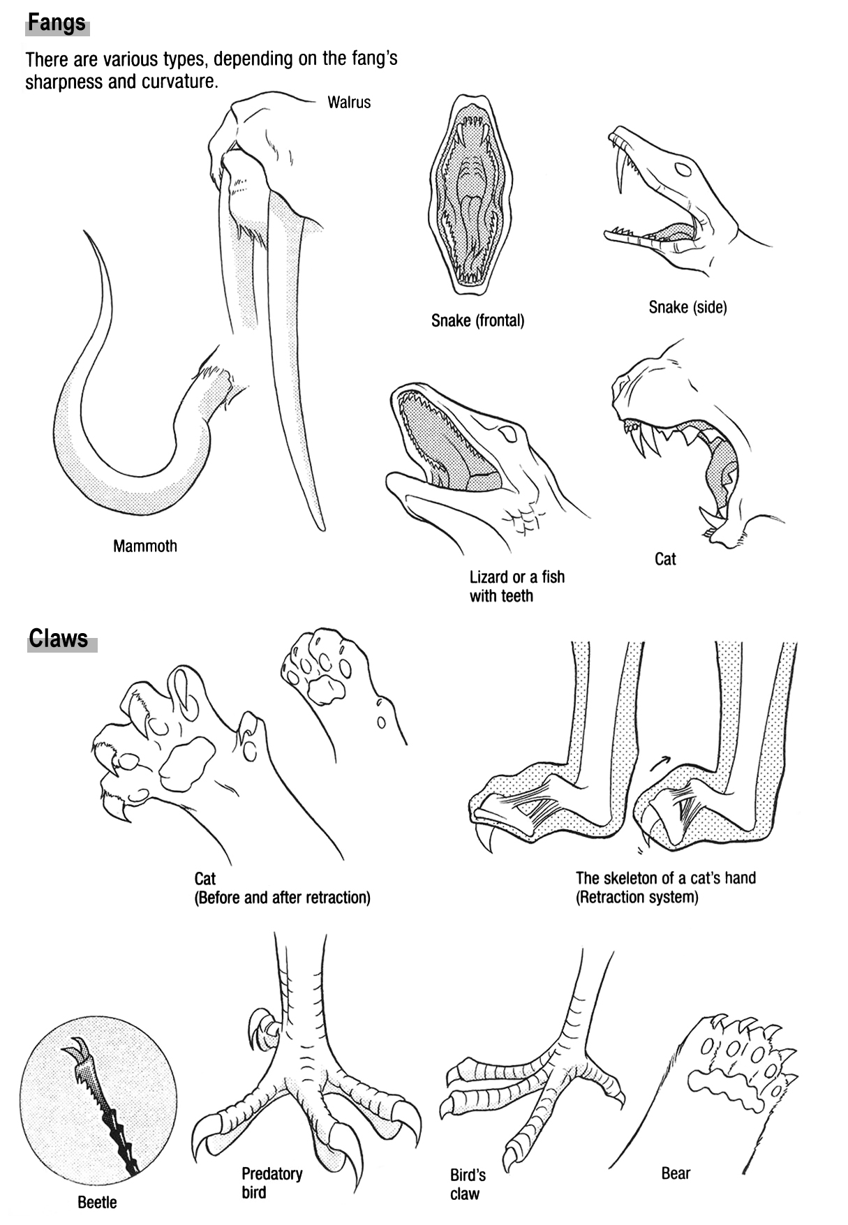 How to Draw Manga Vol. 24, Occult & Horror by Hikaru Hayashi Bildnummer 105