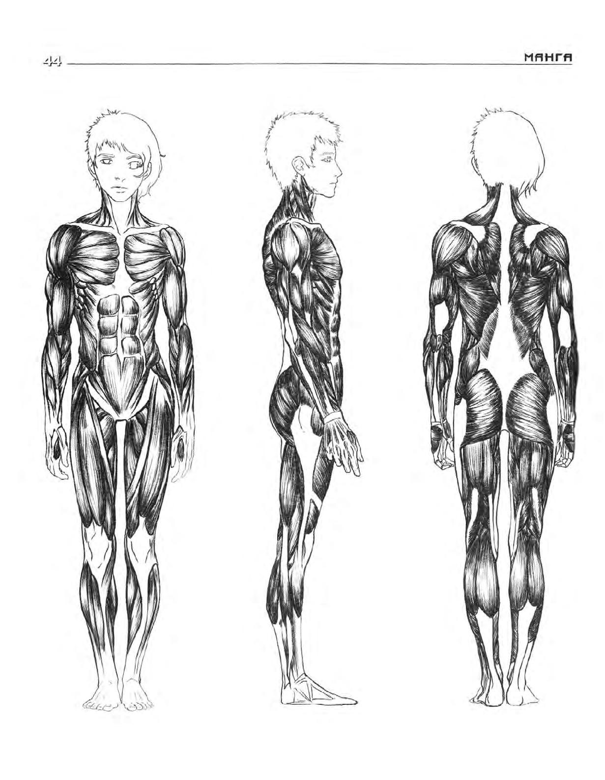 Zharinov A.A. - Manga. Learning to draw Japanese comics 이미지 번호 45