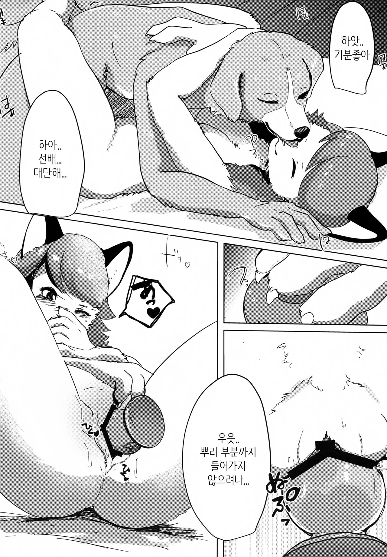 (Kemoket 12) [Kon Juuichibai (Momou)] Datte Inu Senpai no Koto Suki Nanda Mon! | 하지만 리트리버 선배를 좋아하고 있는걸! [Korean] [MTZ007] numero di immagine  15