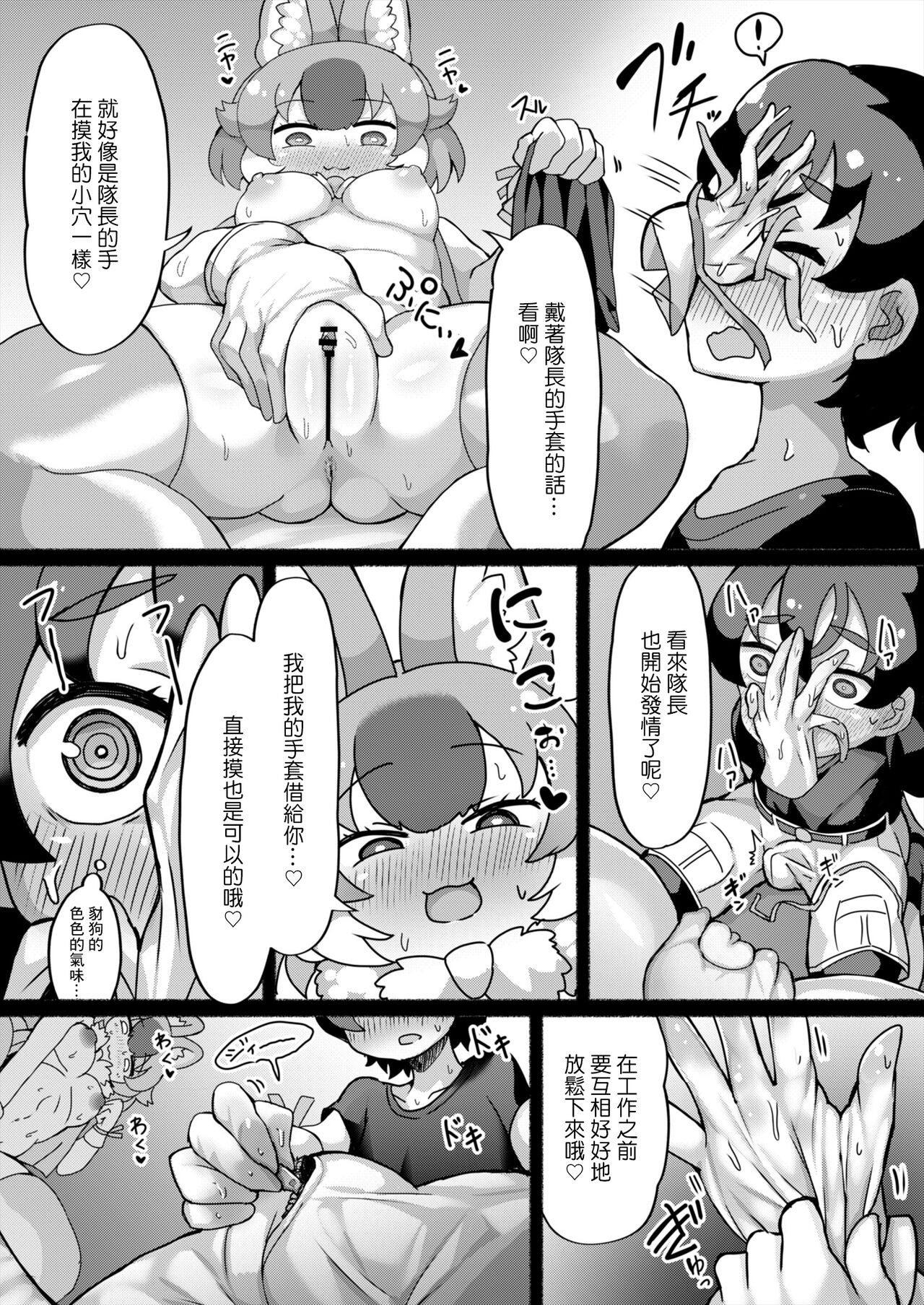 [しこりぱ] ドールと見せあいっこオナニー (けものフレンズ)[中国翻译] 이미지 번호 6