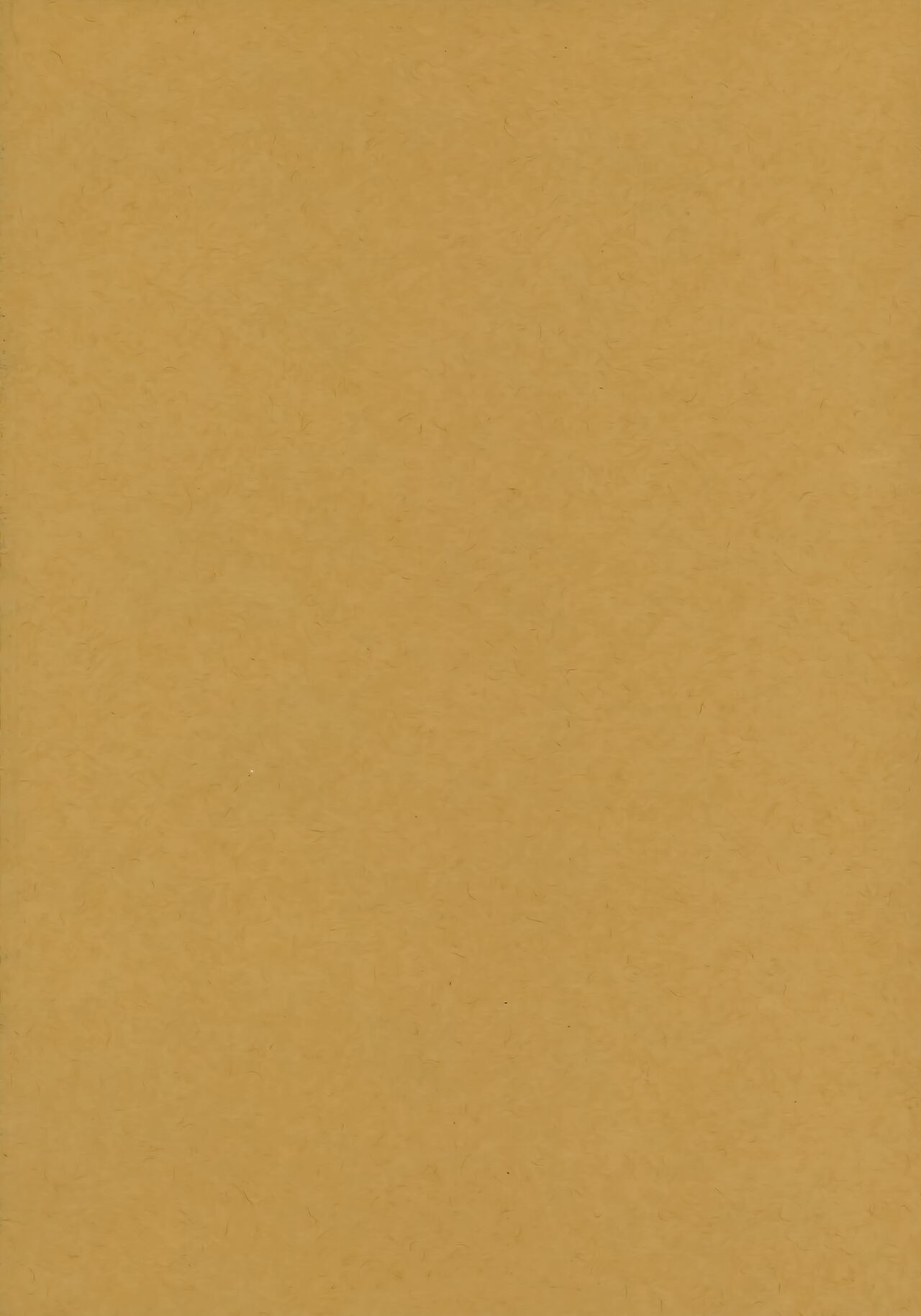 (サンライズクリエイション in BS 2020 冬) [HMA (日吉ハナ)] Admiral!【quiet】 (艦隊これくしょん -艦これ-) Bildnummer 2