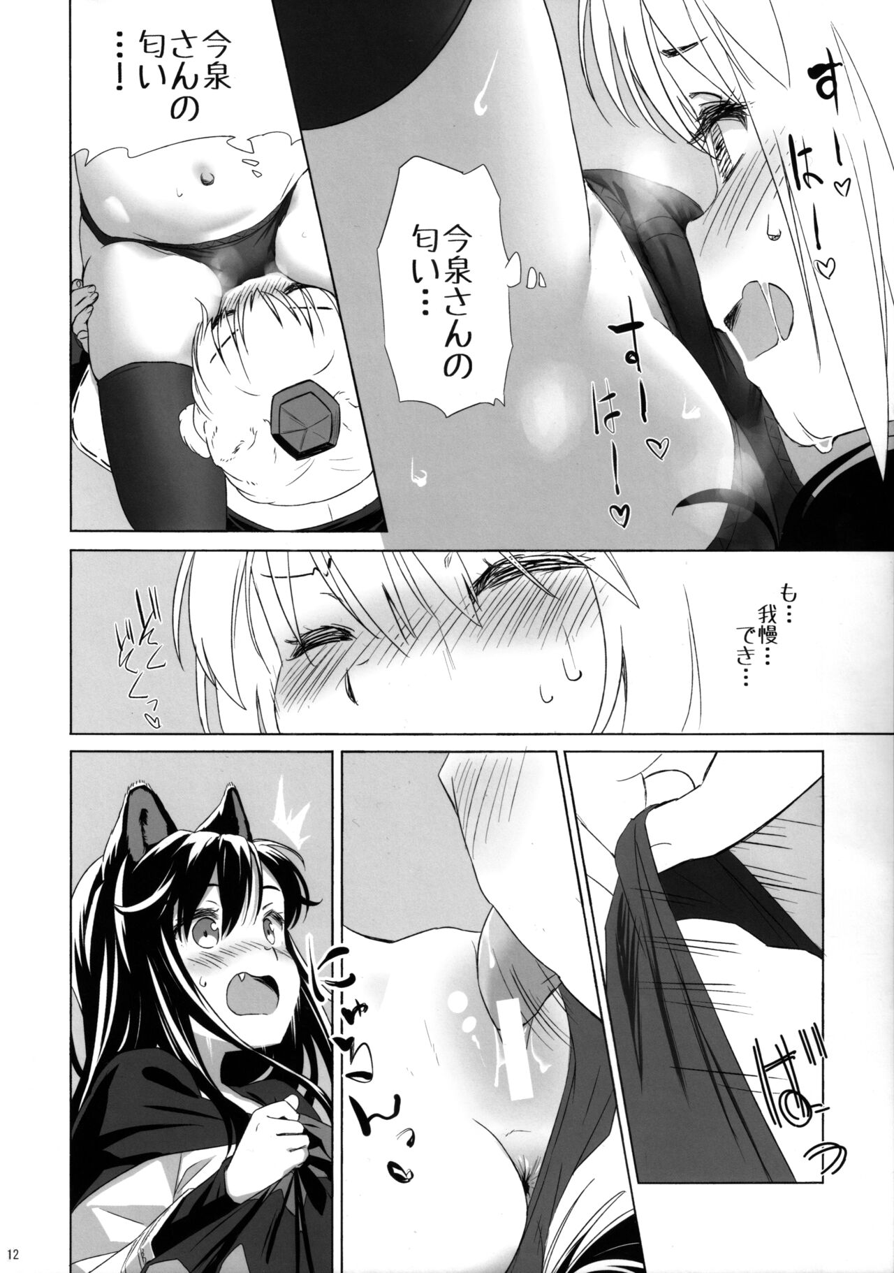 (C101) [Animal Passion (Yude Pea)] Shiro Kuro Ookami (Touhou Project) image number 11