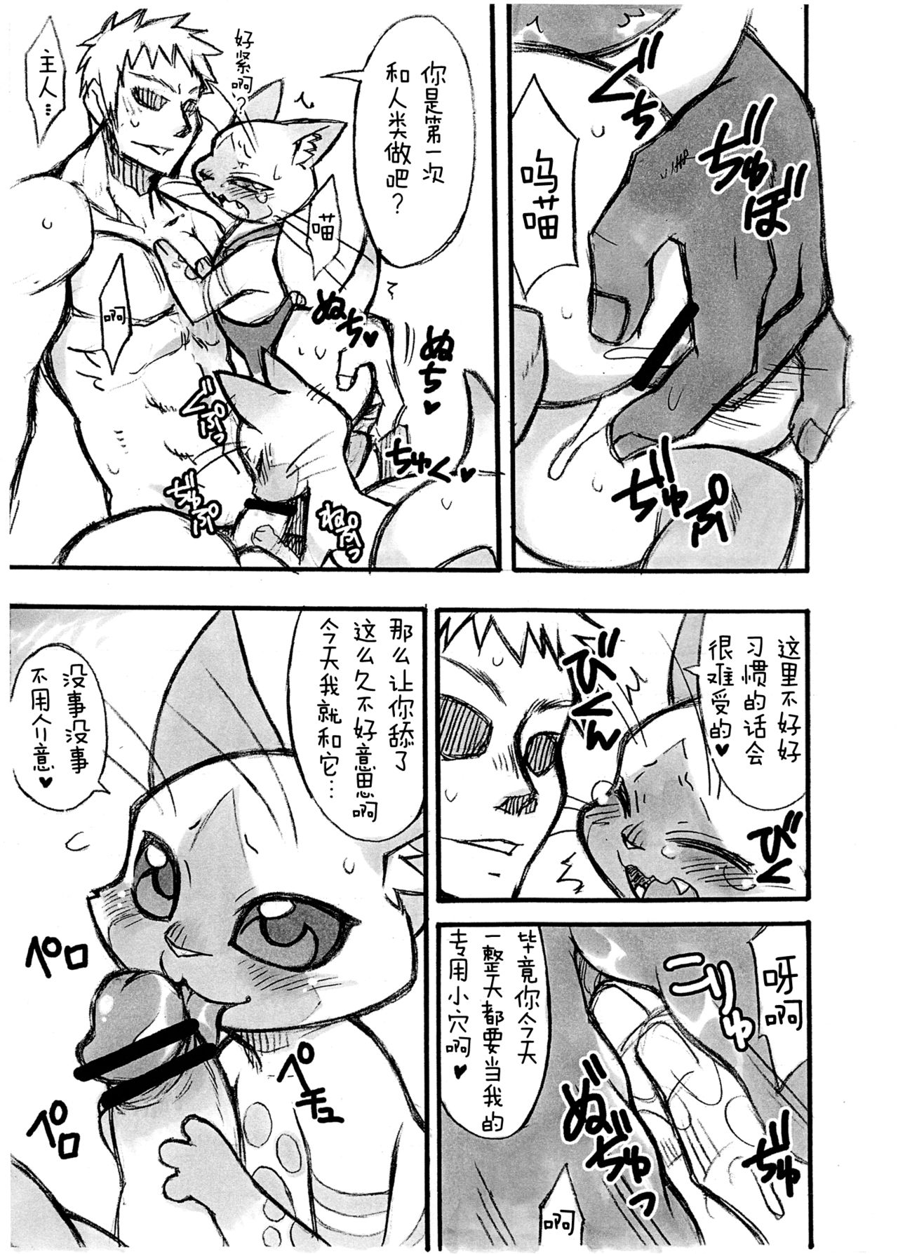 (Kansai Kemoket 2) [Mayoineko (Nakagami Takashi, Amakuchi)] Yoru no Otomo ni Airou o. (Monster Hunter) [Chinese] [逃亡者x新桥月白日语社汉化] numero di immagine  6