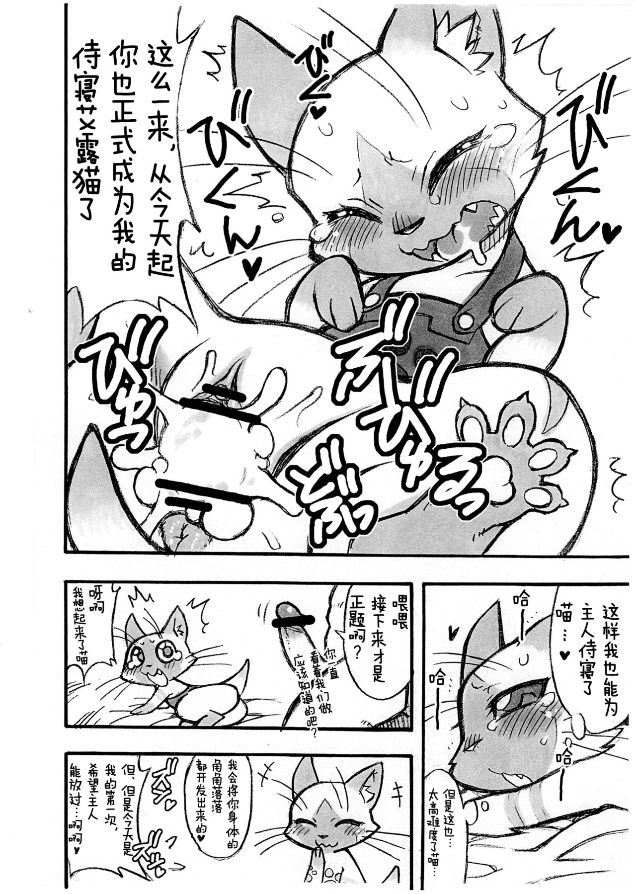 (Kansai Kemoket 2) [Mayoineko (Nakagami Takashi, Amakuchi)] Yoru no Otomo ni Airou o. (Monster Hunter) [Chinese] [逃亡者x新桥月白日语社汉化] numero di immagine  9