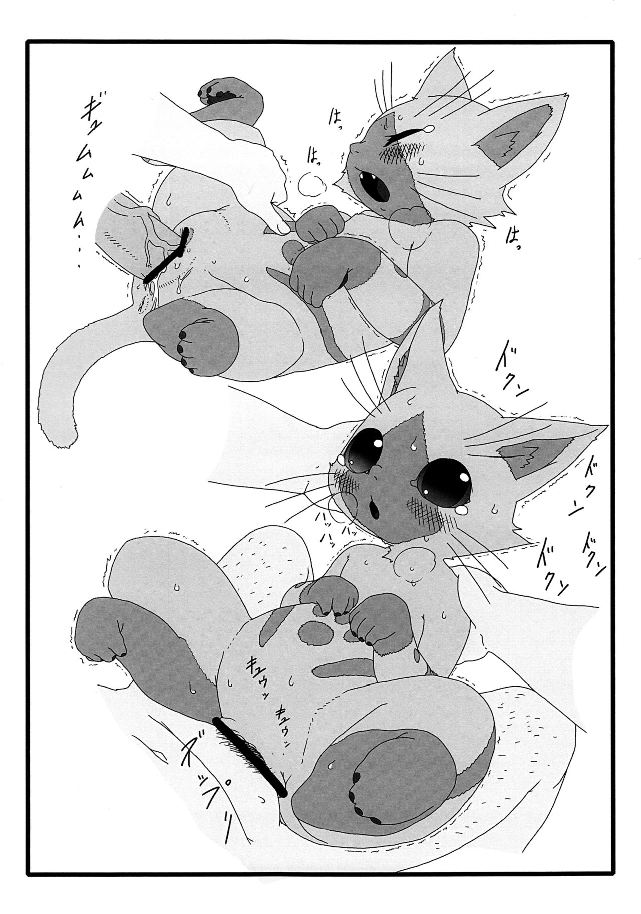 (Kansai Kemoket 2) [Mayoineko (Nakagami Takashi, Amakuchi)] Yoru no Otomo ni Airou o. (Monster Hunter) [Chinese] [逃亡者x新桥月白日语社汉化] numero di immagine  13