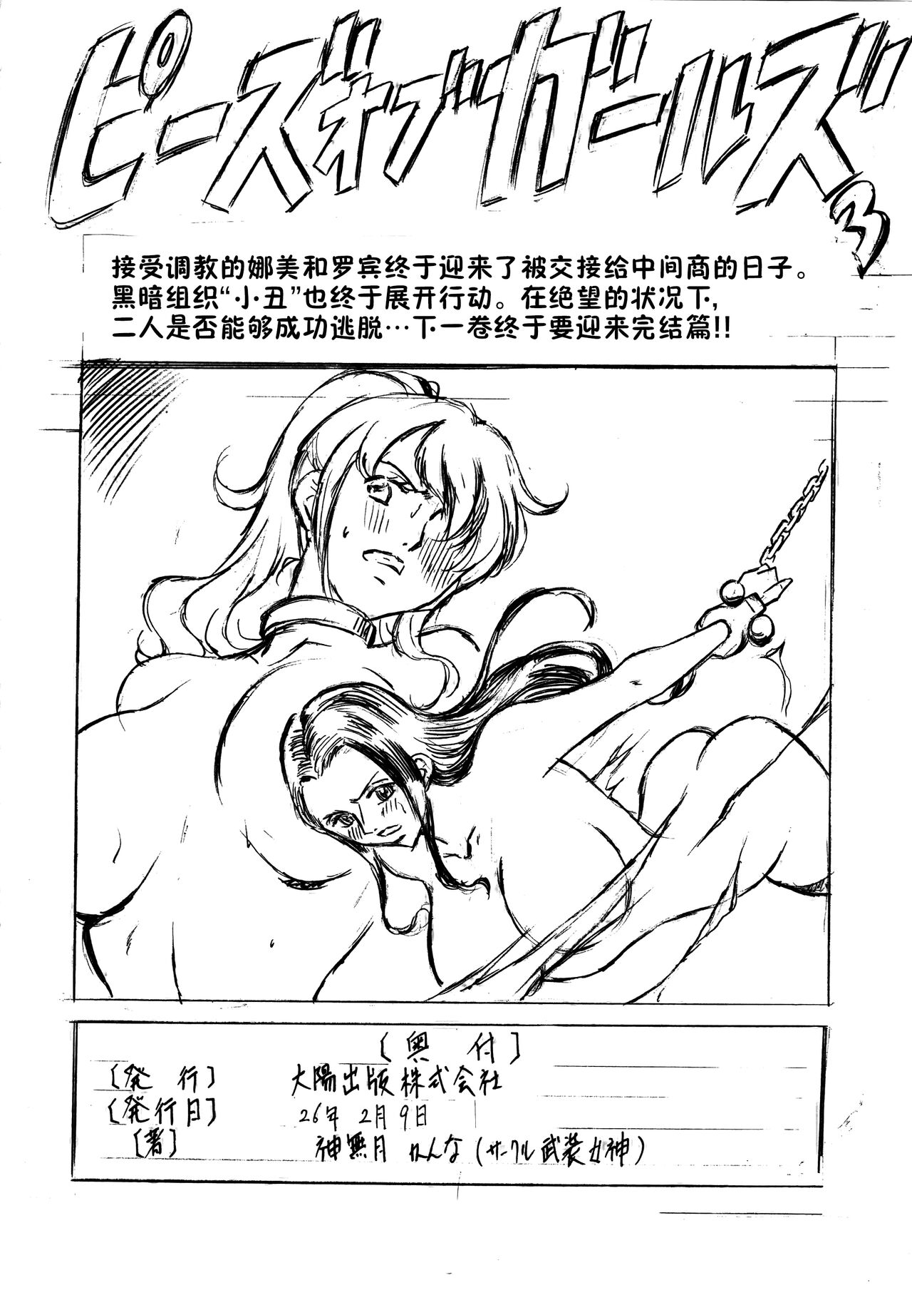 (SC62) [Busou Megami (Kannaduki Kanna)] Piece of Girls 2.5 (One Piece) [Chinese] [不咕鸟汉化组] image number 17