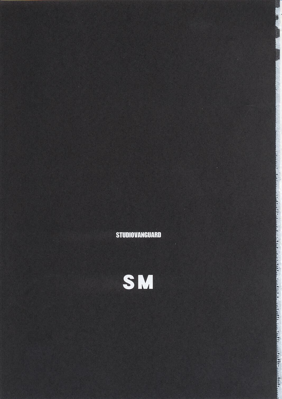 (C63) [STUDIO VANGUARD (Minazuki Juuzou)] SM (Bishoujo Senshi Sailor Moon)[Chinese] image number 2