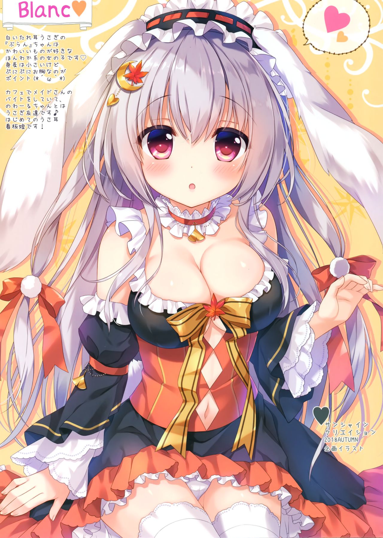 (COMIC1☆16) [Ame nochi Yuki (Ameto Yuki)] Kanbanmusume chronicle 画像番号 8