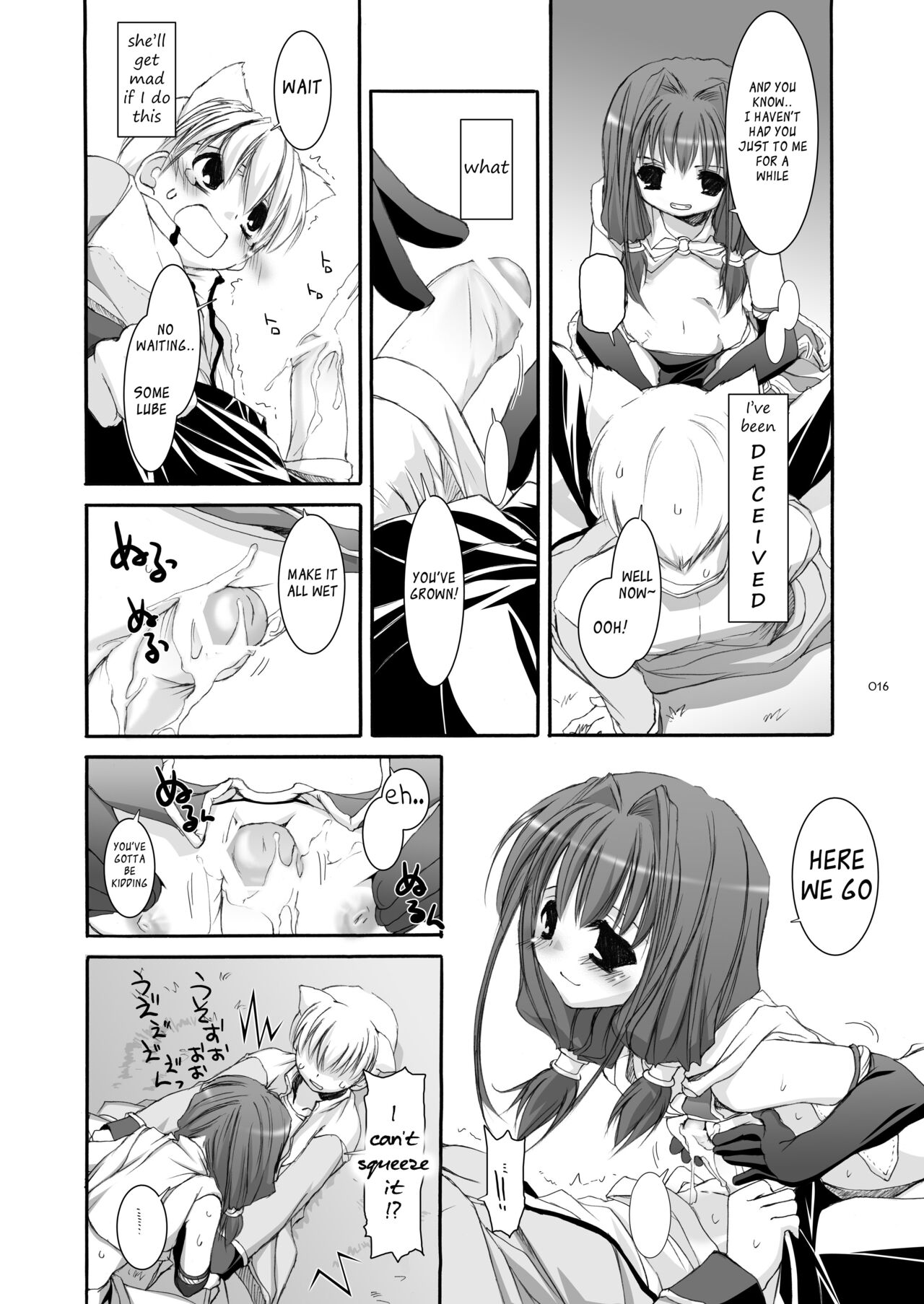 [Digital Lover (Nakajima Yuka)] DL-RO Soushuuhen 04 - DL-RO Perfect Collection No. 04 (Ragnarok Online) [Digital] [English] image number 17