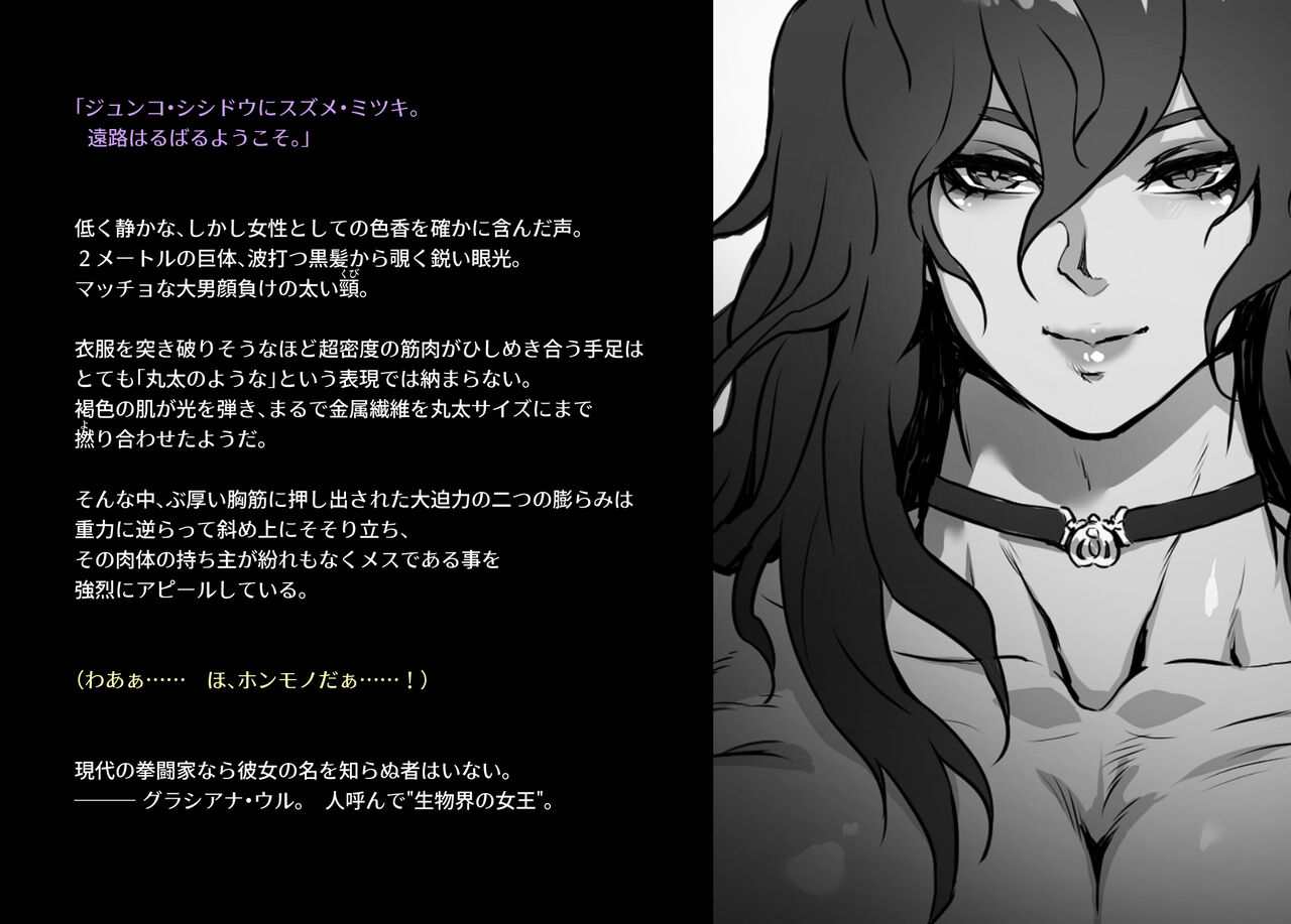 norubon box 1 图片编号 3