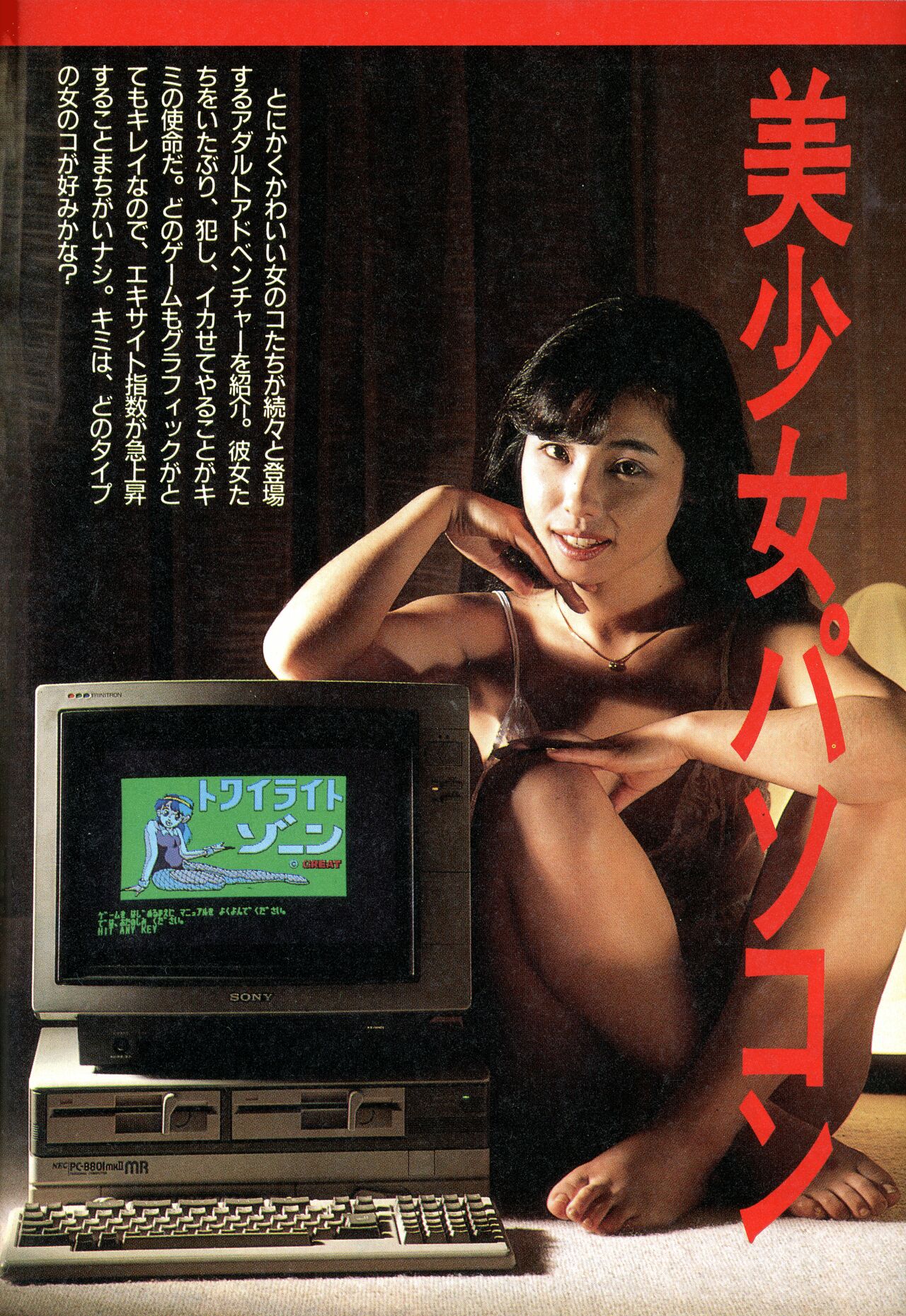 [Tokuma communications] PASOCOM GAME Bishōjo Pasocom Book (1987) [Planning office 102] 图片编号 11