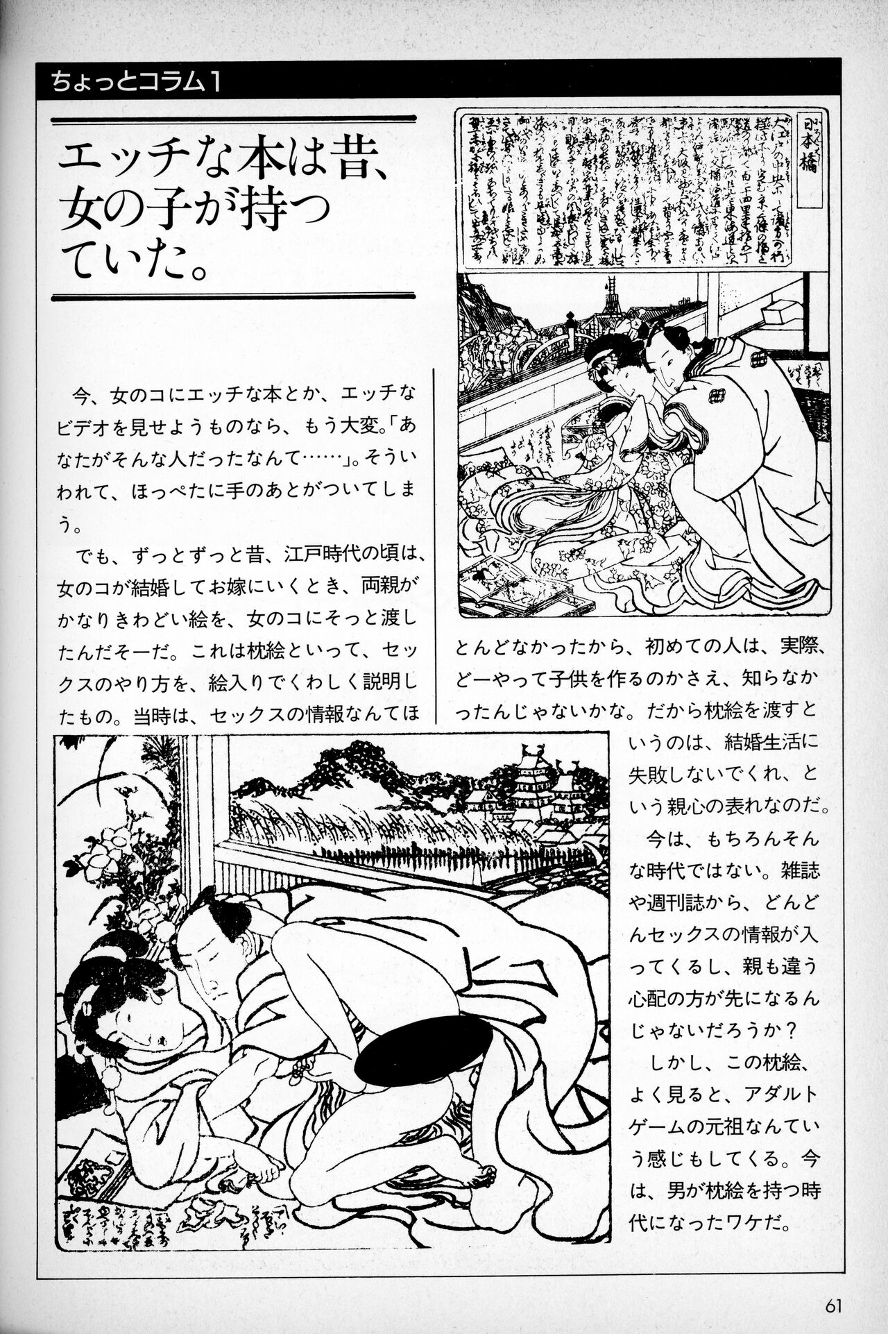 [Tokuma communications] PASOCOM GAME Bishōjo Pasocom Book (1987) [Planning office 102] 图片编号 65