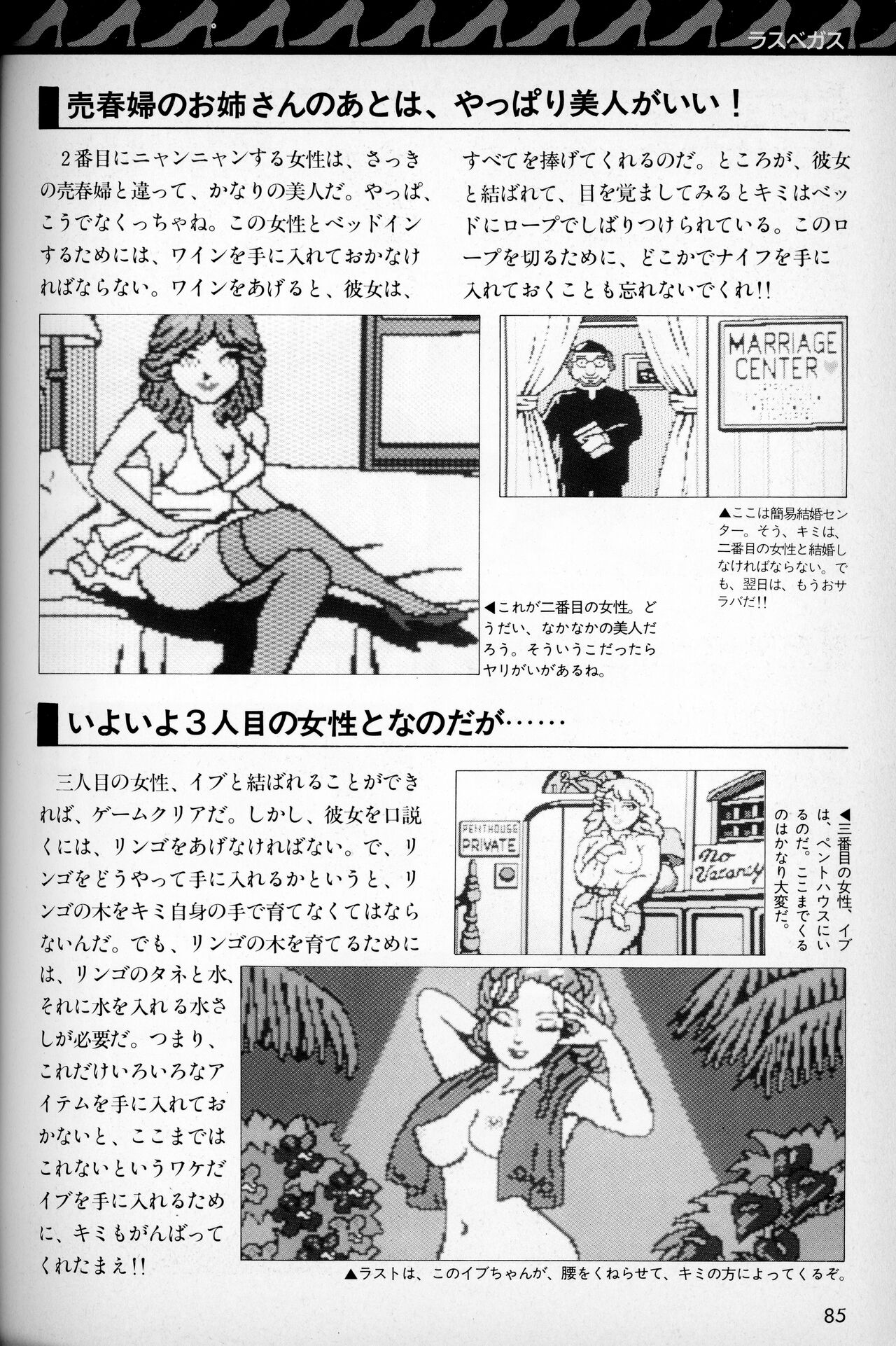 [Tokuma communications] PASOCOM GAME Bishōjo Pasocom Book (1987) [Planning office 102] 图片编号 89