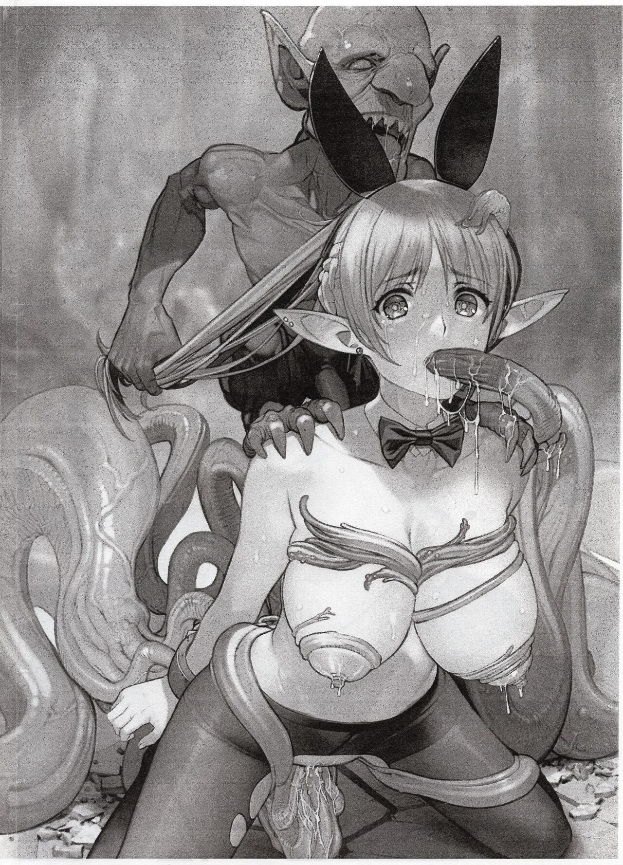 (COMIC1☆22) [LilyLilyRose (Mibu Natsuki)] ELFVS (original) image number 2