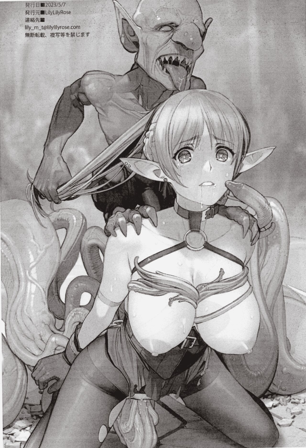 (COMIC1☆22) [LilyLilyRose (Mibu Natsuki)] ELFVS (original) image number 11