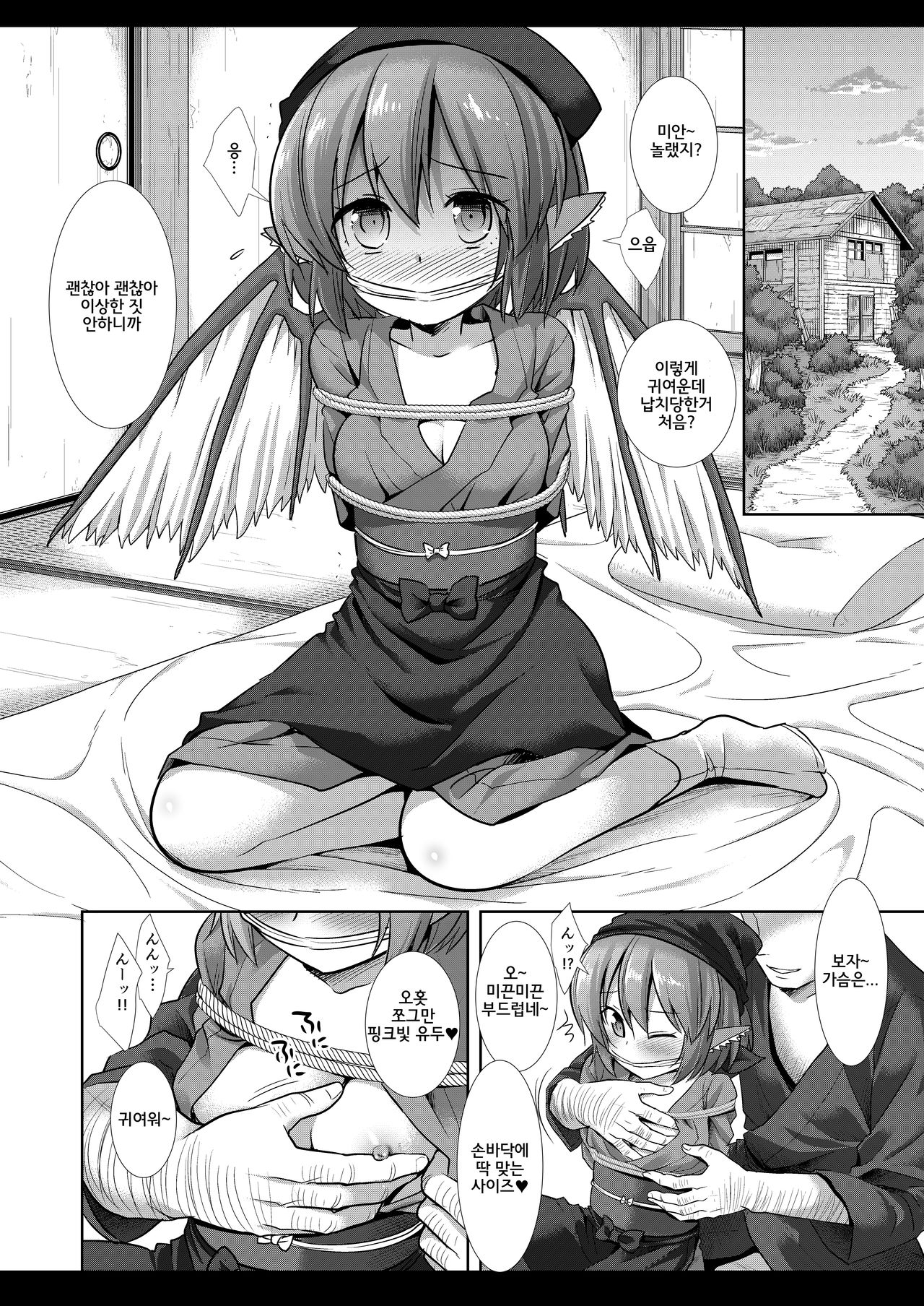 Touhou Ryoujoku 44 Mystia Lorelei 画像番号 5
