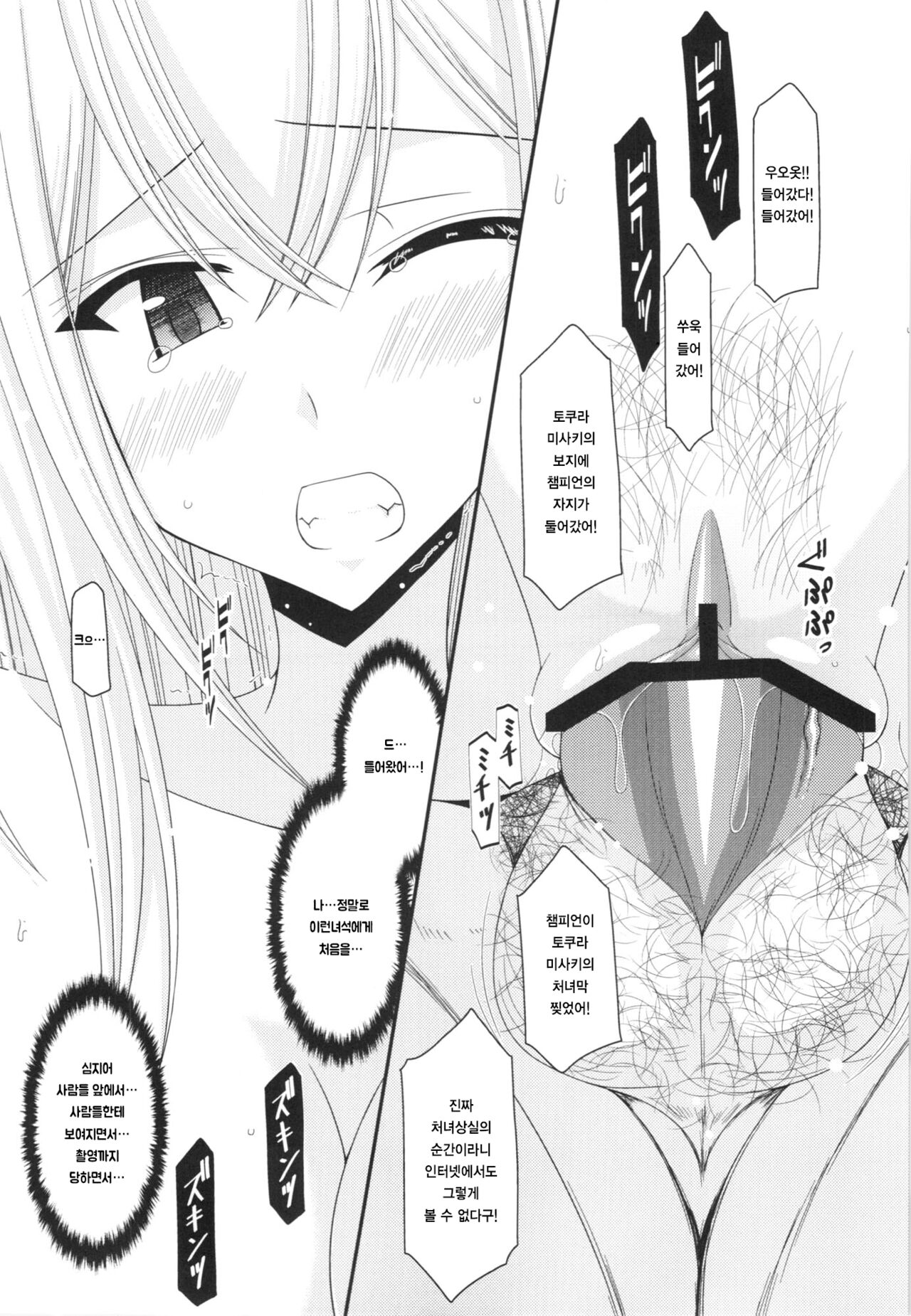 (SC57) [valssu (Charu)] Unbreakable Limit (Cardfight!! Vanguard) [korean] numero di immagine  47