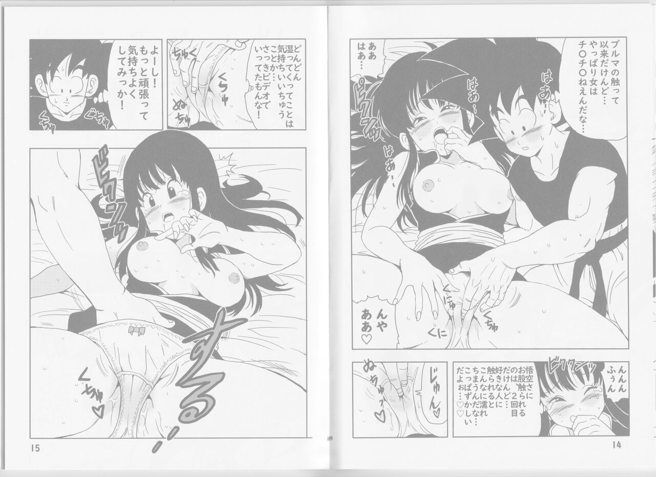 [Monkees (YoungJiJii)] Chichi to Goku (Dragon Ball) 이미지 번호 15