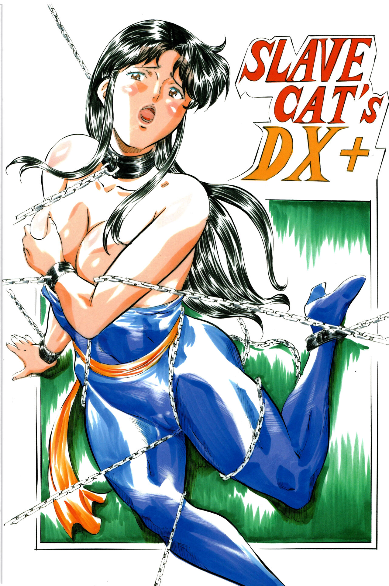 [武装女神 (神無月かんな)] SLAVE CAT's  DX+(キャッツ・アイ) [Chinese] [不咕鸟汉化组] 图片编号 1