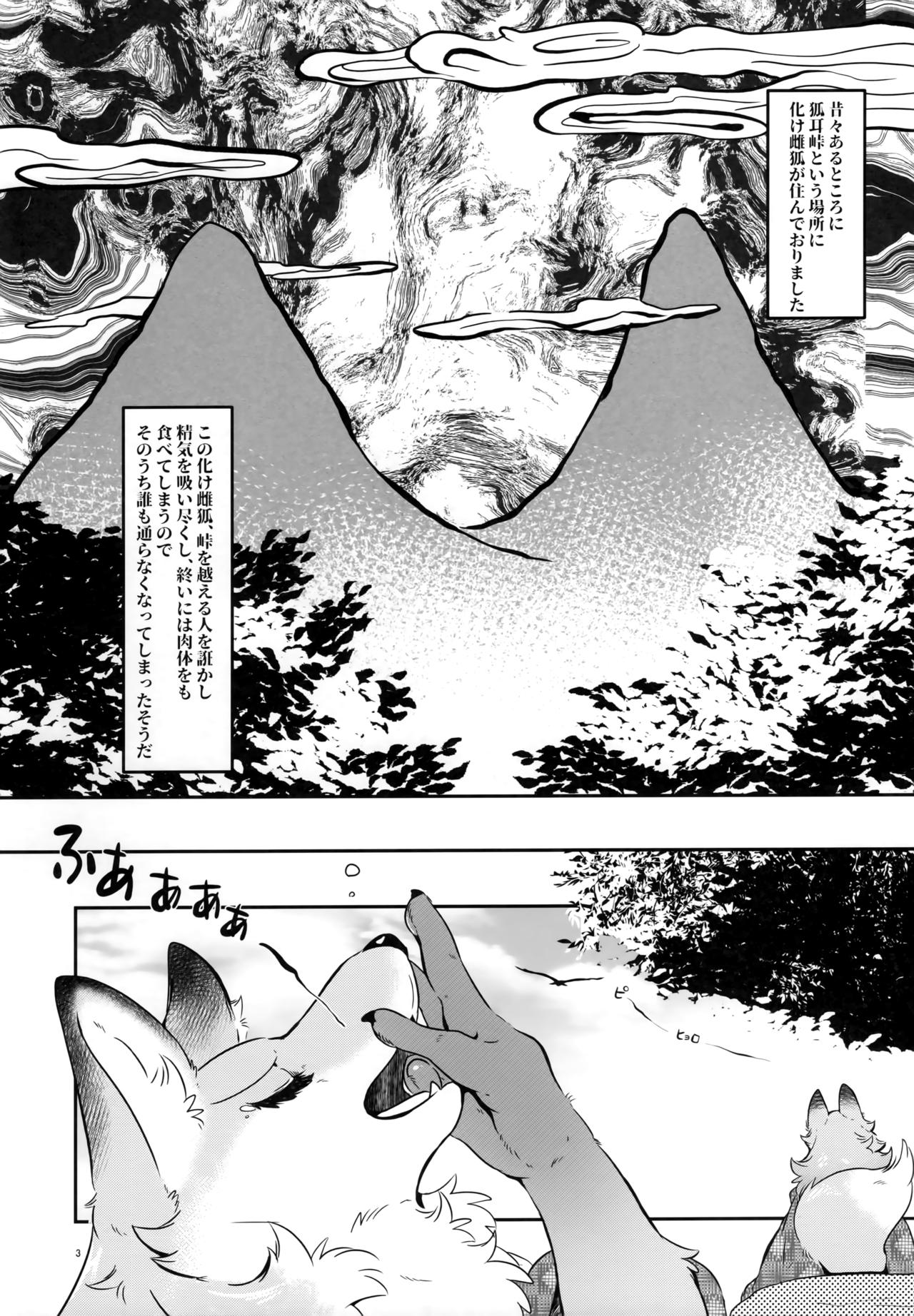 (C96) [Kyou no Keiro (Pukkunn)] Tooryanse to Oryanse image number 2