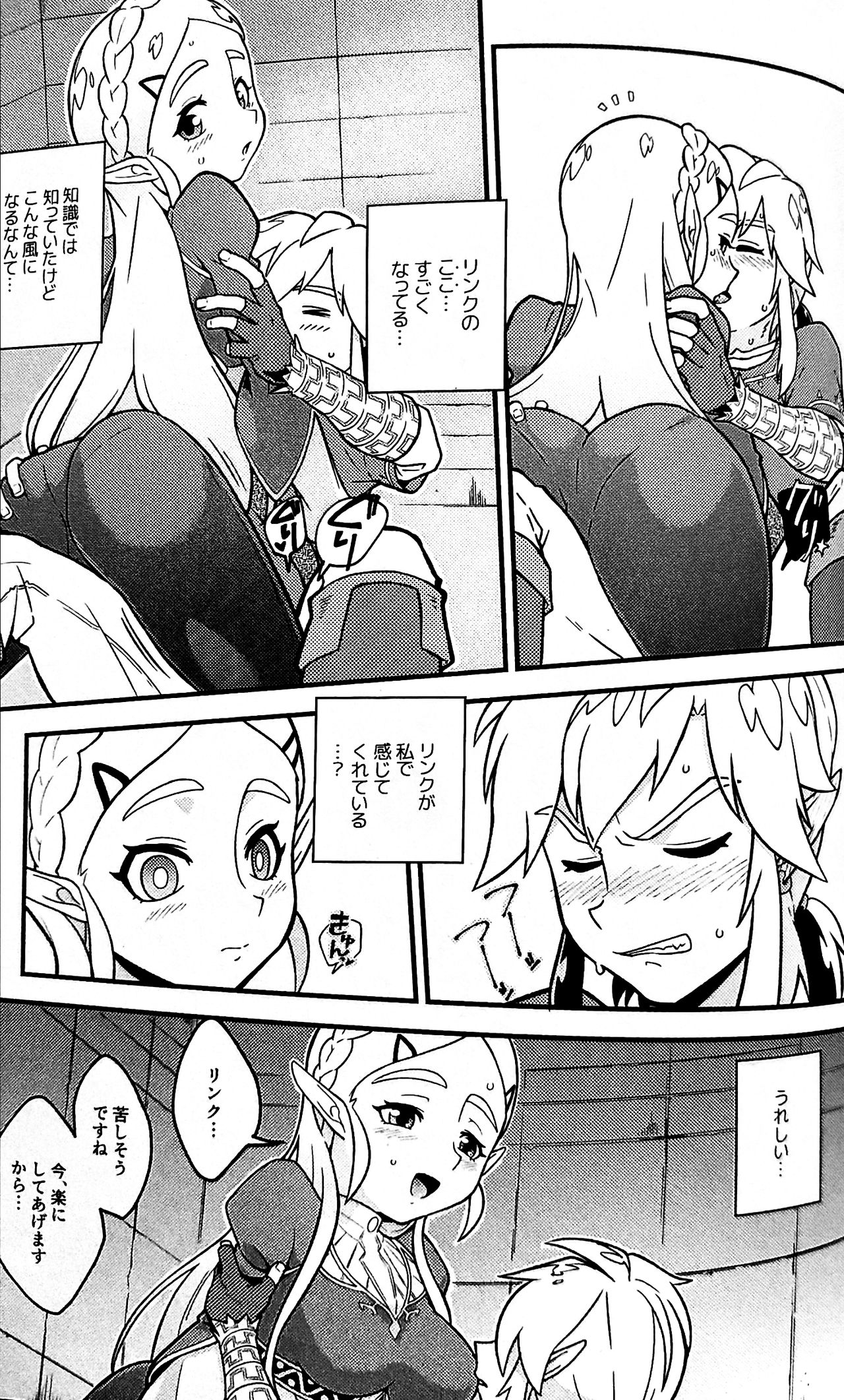 (USED) [Hentai] Doujinshi - The Legend of Zelda (BREATH OF THE BEAST) image number 10