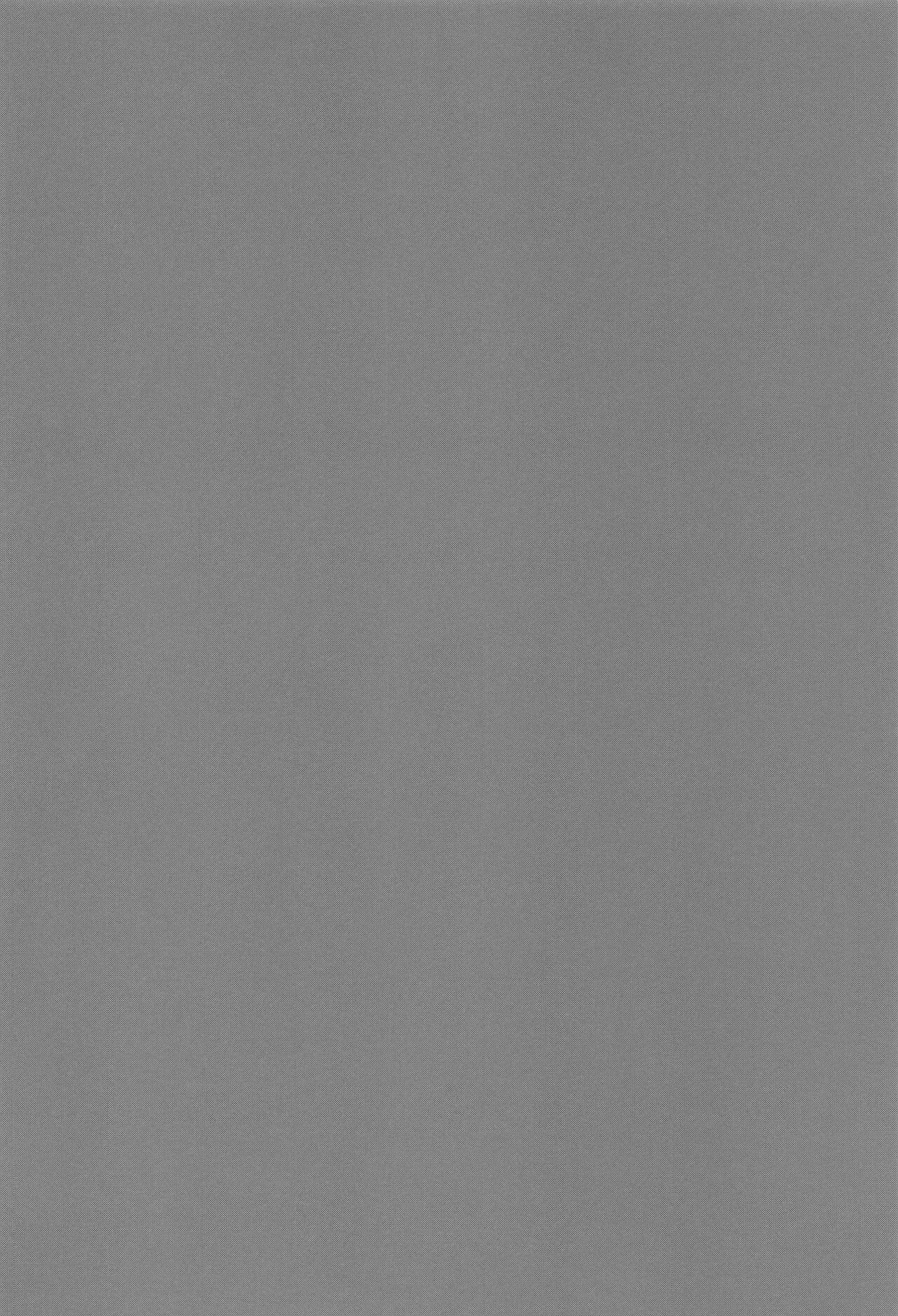 [juichi] tasuketekuretoittekure (jujutsukaisen) изображение № 3