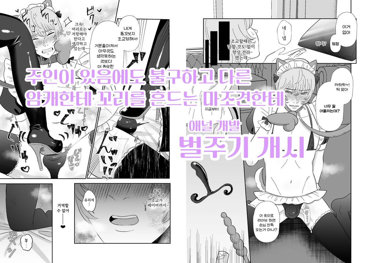 [Okuchi no Okuchi (Watari Kaoru)] Maso ga Daikoubutsu na Onee-san no Anal Choukyou. | 마조가 매우 취향인 누나의 애널조교 [Korean] [진격 펀치] 5eme image