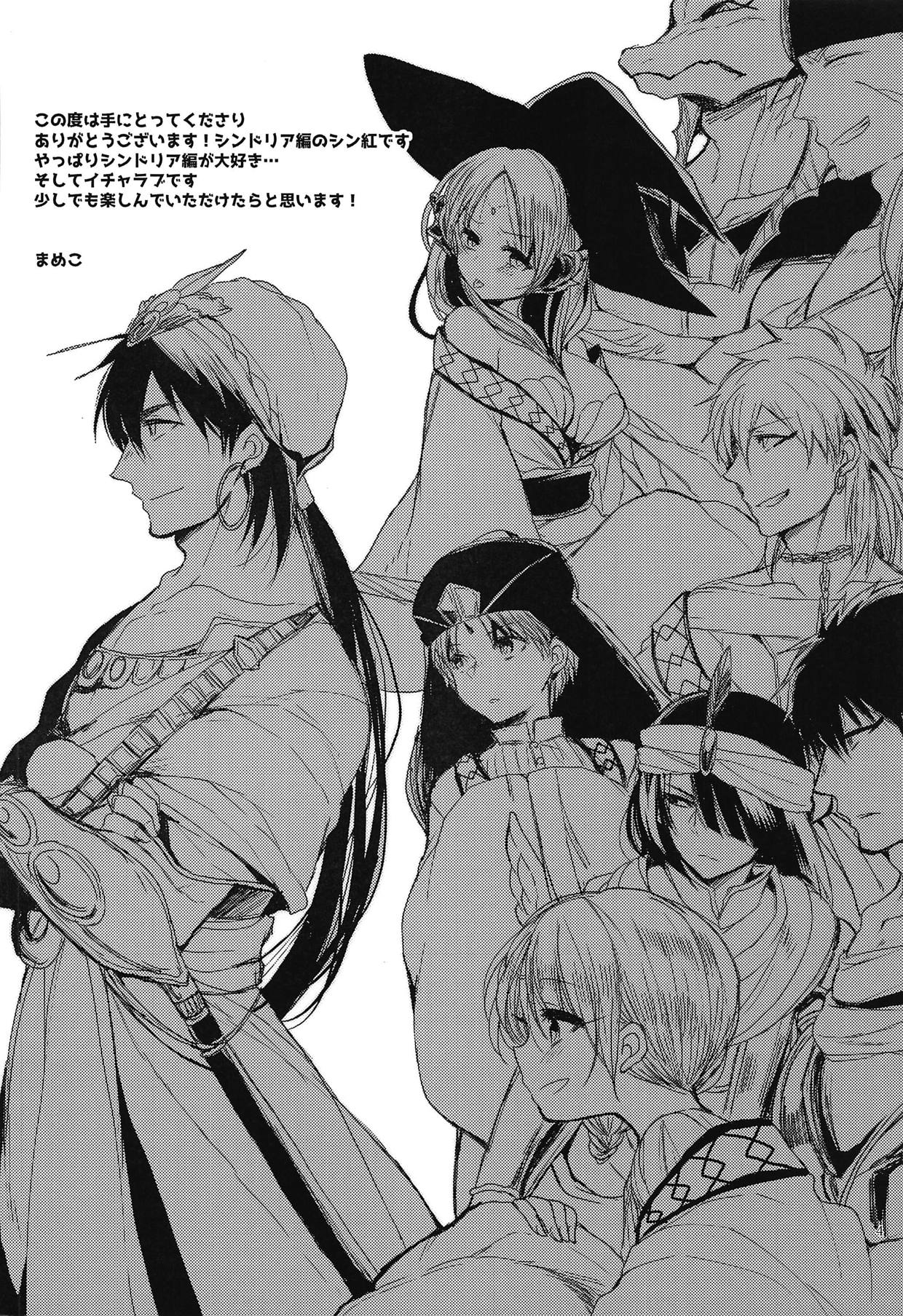 (C94) [Mamedaifukuya (Mameko)] Himegimi wa Koyoi mo Ou-sama to (Magi: The Labyrinth of Magic) image number 3