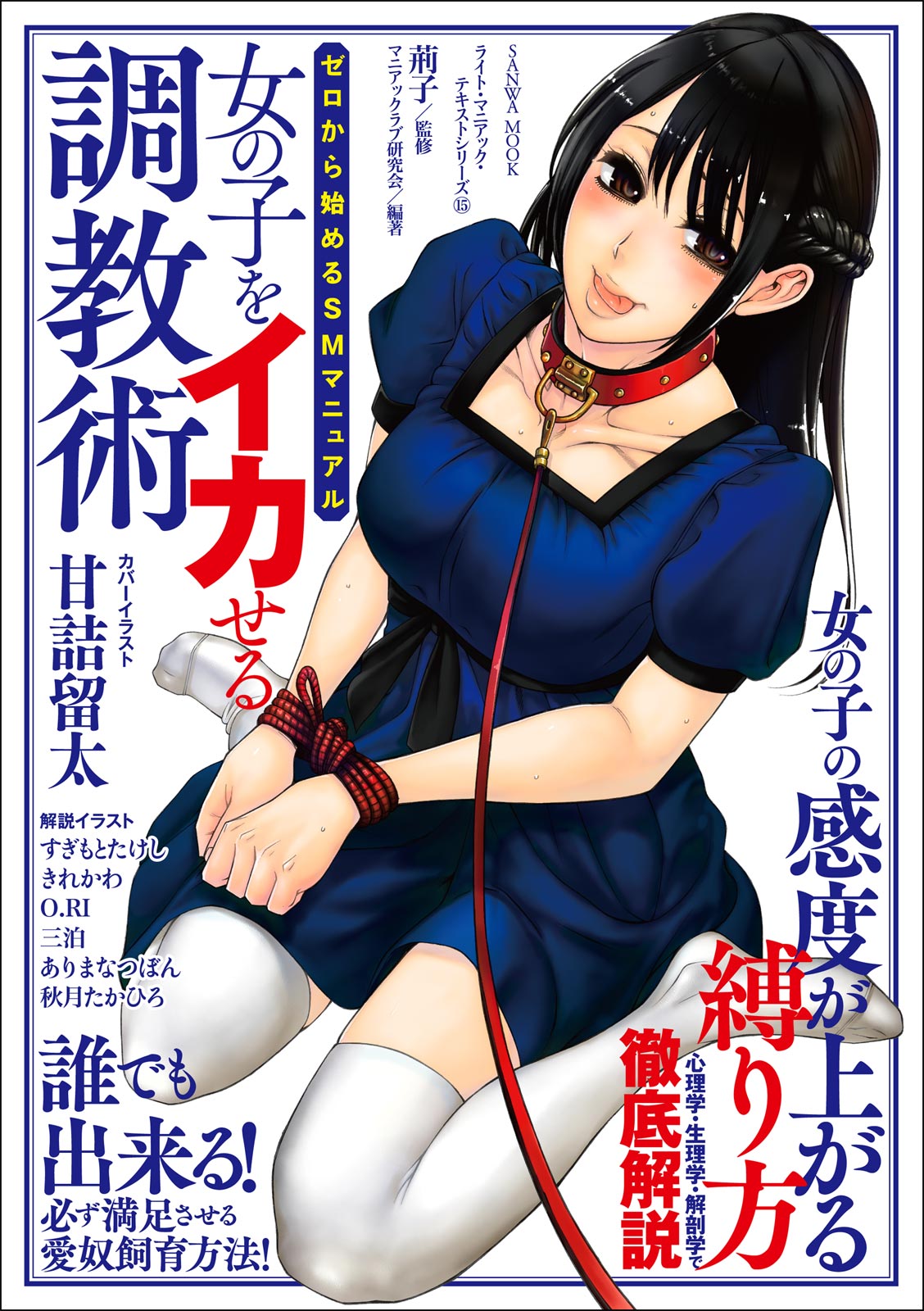 ゼロから始めるSMマニュアル 女の子をイカせる調教術 изображение № 1