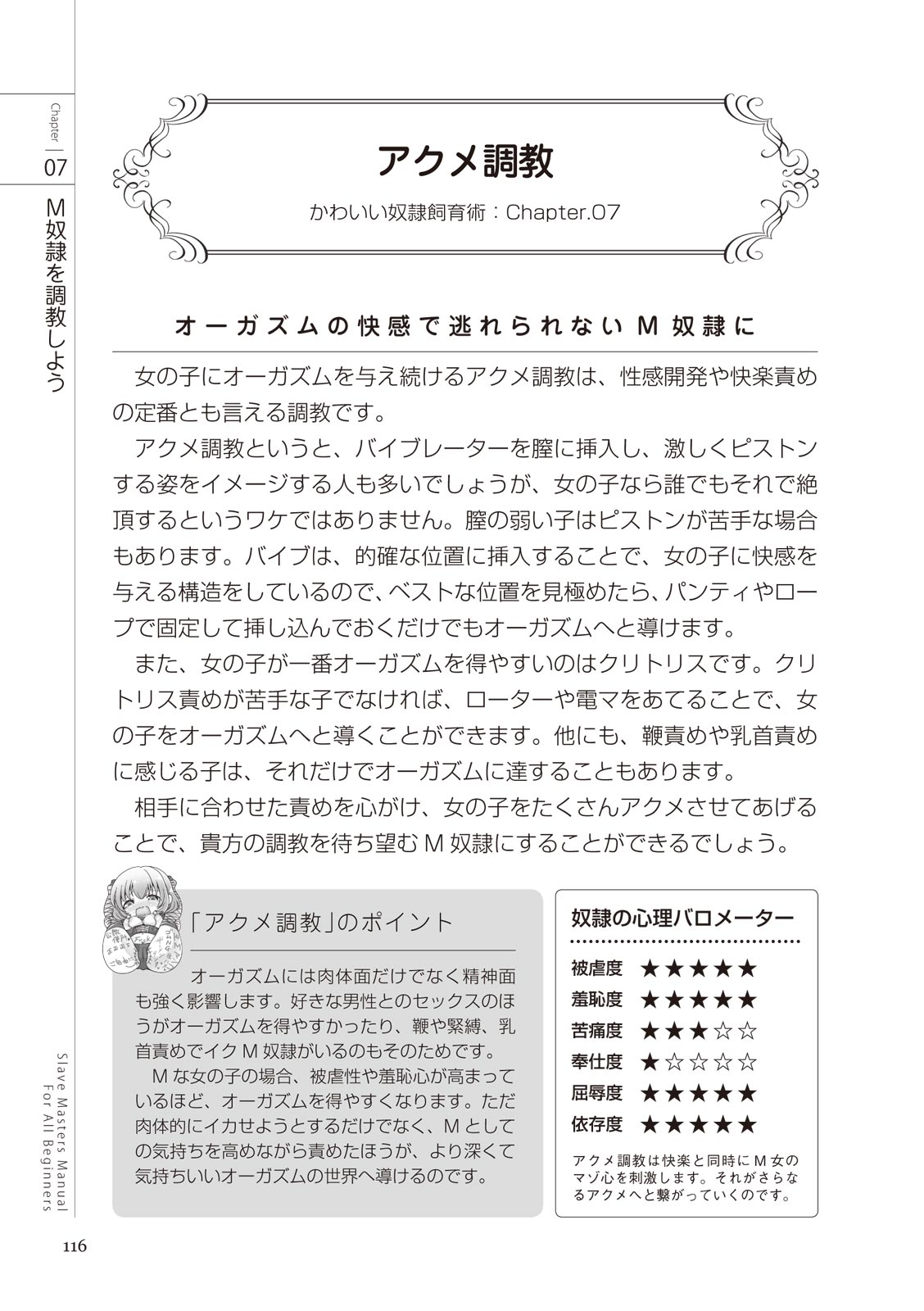 ゼロから始めるSMマニュアル かわいい奴隷飼育術 изображение № 116