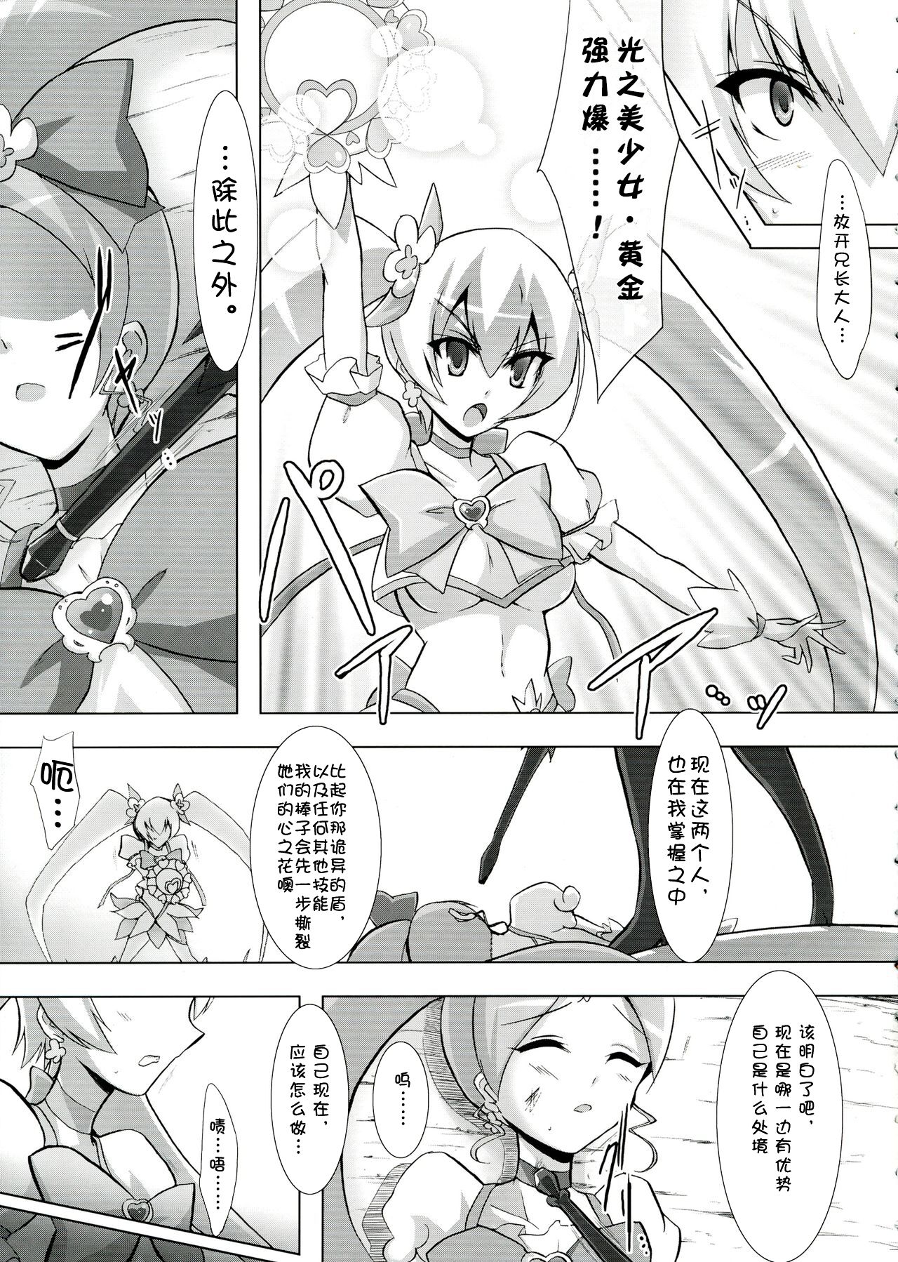 (Puniket 22) [C.R's NEST (Miyabikawa Sakura, C.R)] SILHOUETTE HEART 心的剪影 (HeartCatch Precure!)【Chinese】【个人汉化】 图片编号 11